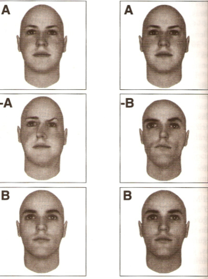 caras3