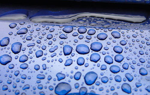 gotas