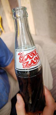 zamzamcola